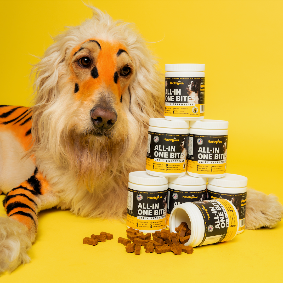 Unleashing the Power of Healthypaw All-in-One Bites