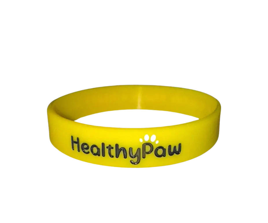 Healthy Paw Awareness  Bracelet (Yellow)