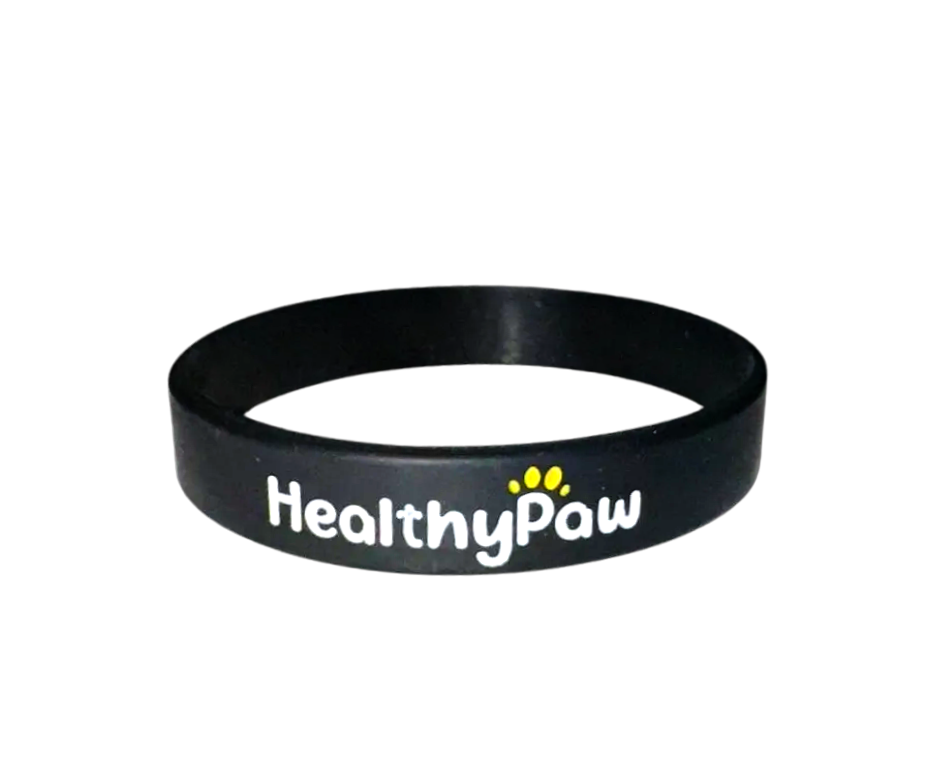Healthy Paw Awareness  Bracelet (Black)